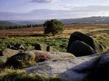 Longshaw Estate
