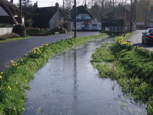 Kings Somborne